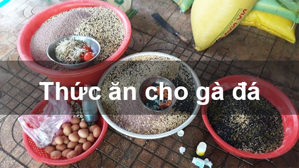 https://lostdistillery.com/im/storage/an-uong/che-do-an-cua-ga-choi-2.jpg