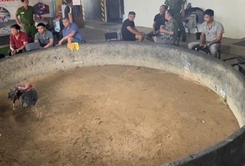 https://lostdistillery.com/im/storage/kinh-nghiem/manh-khoe-da-ga-tai-truong-ga-1.jpg